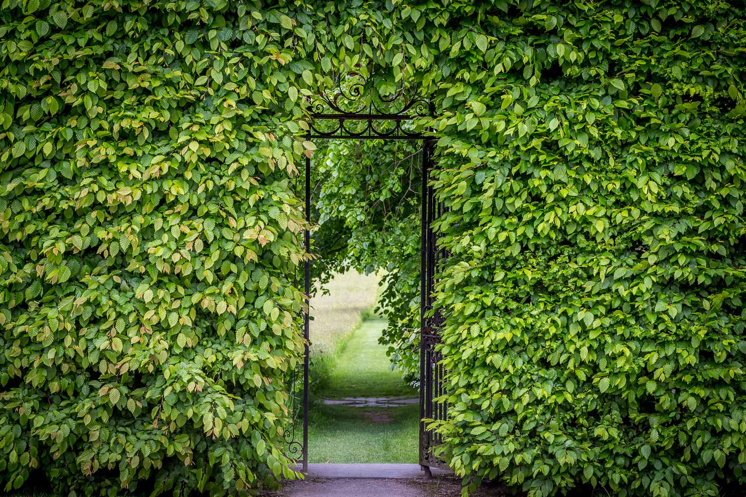 Holker Hall Holker Hall