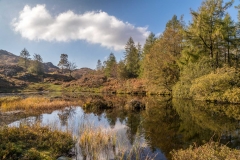 Holme Fell tarn