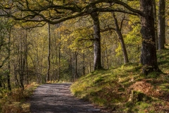 Holme Fell walk