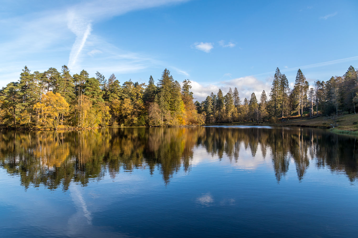 Tarn Hows reflections