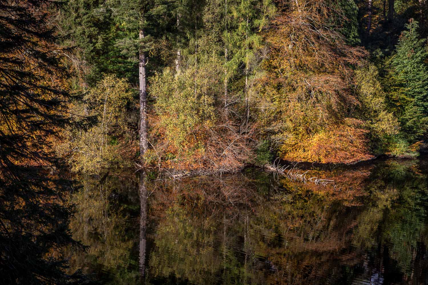 Tarn Hows, autumn reflections