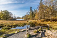 Tarn Hows bench