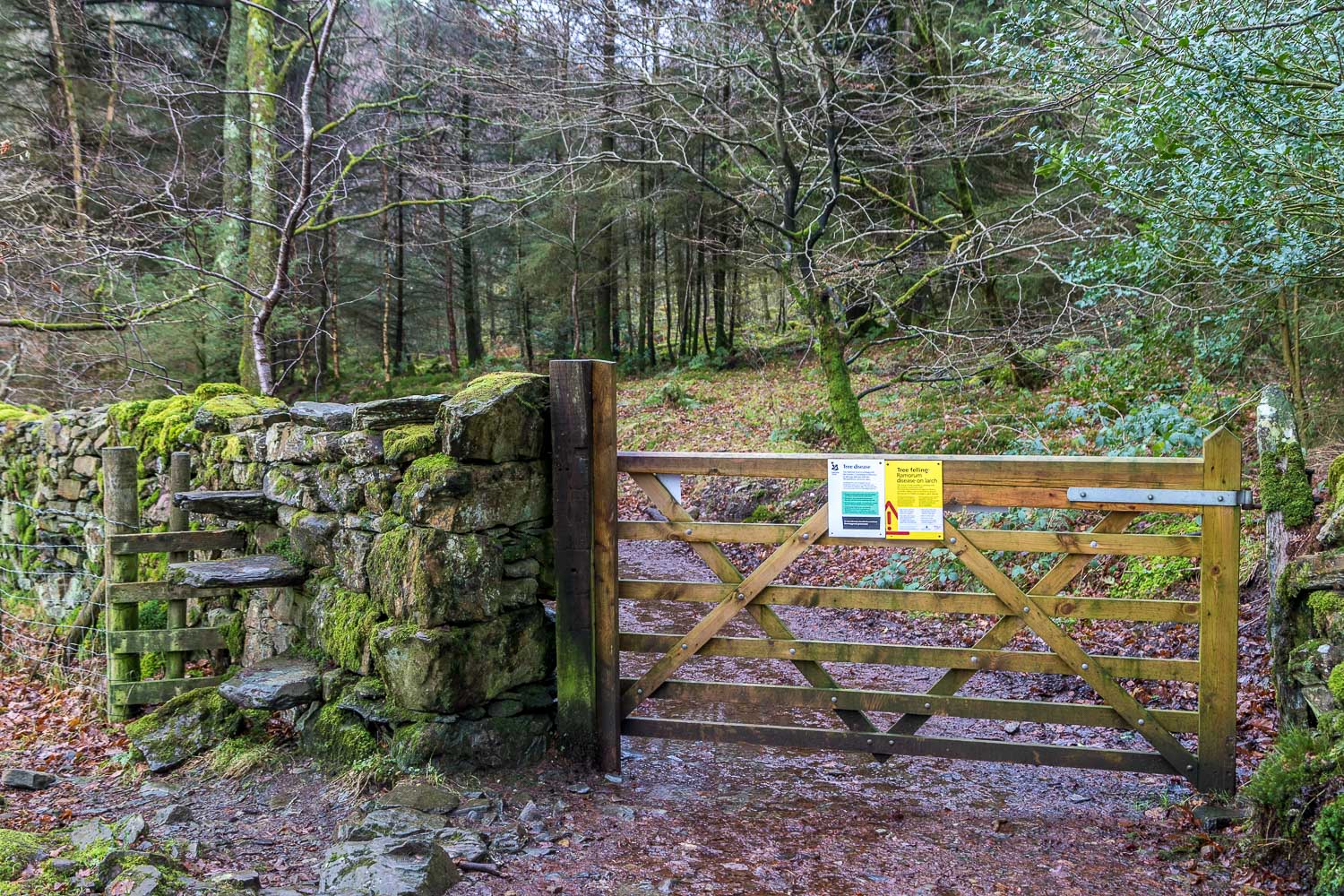 Holme Wood entrance