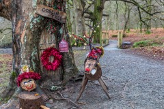 Holme Wood, Goblin Tree
