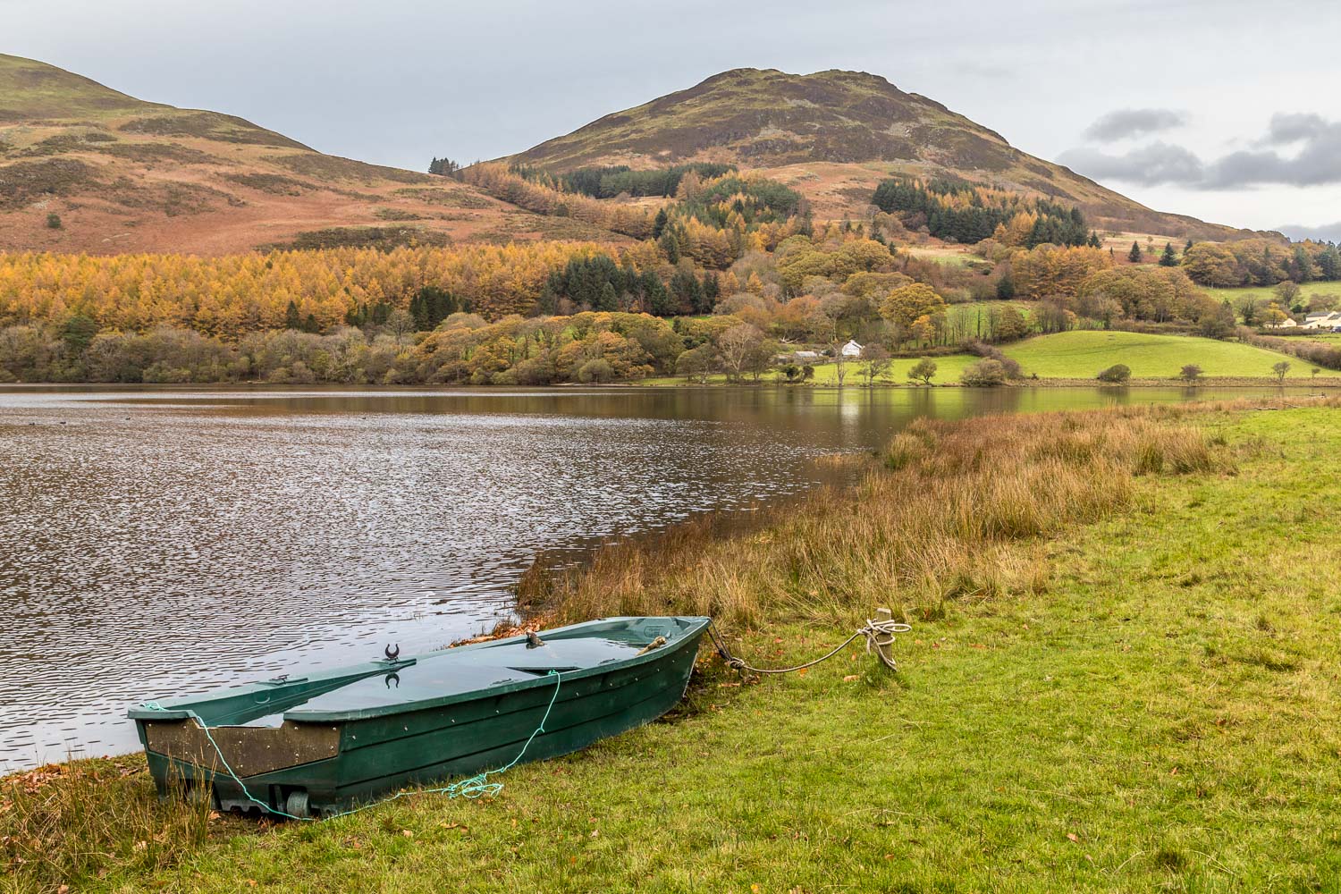 Holme Wood Loweswater