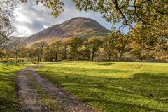 Carling knott