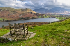 Loweswater bench