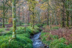 Holme Beck