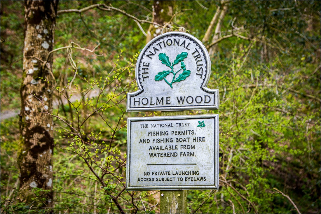 Holme Wood