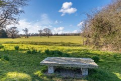 Howick Hall garden
