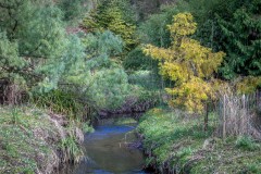 Howick Burn