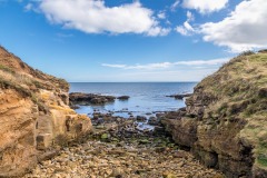 Howick Hall walk