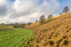 Huggate walk, Harper Dale