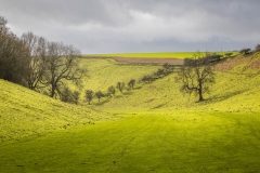Rabbit Dale