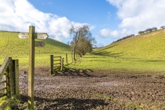 Cow Dale