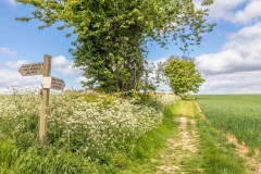 Huggate walk, Yorkshire Wolds Way