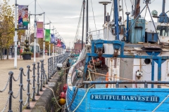 Hull Fish Trail