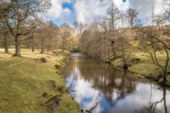 Hulne Park, River Aln