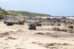 Traigh an t-Suidhe, Iona