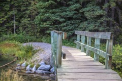 Johnson Lake walk