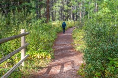 Johnson Lake path