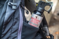 Bear spray