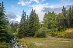 Johnson Lake walk