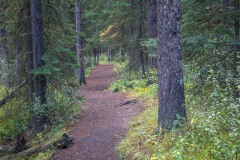 Johnson Lake walk
