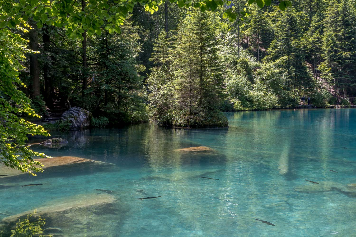 Blausee Blausee