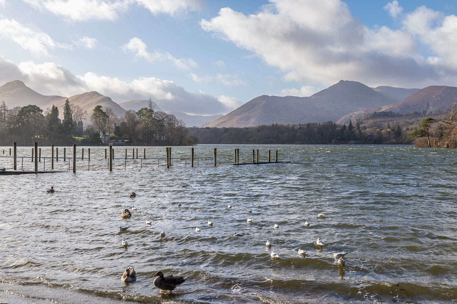 Keswick landing stages, Catbells, Causey Pike