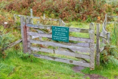 Kilchattan Bay walk