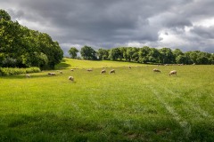 Herefordshire Trail