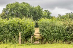 Kilpeck walk