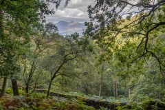 Kings How walk, Skiddaw