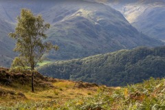 Borrowdale
