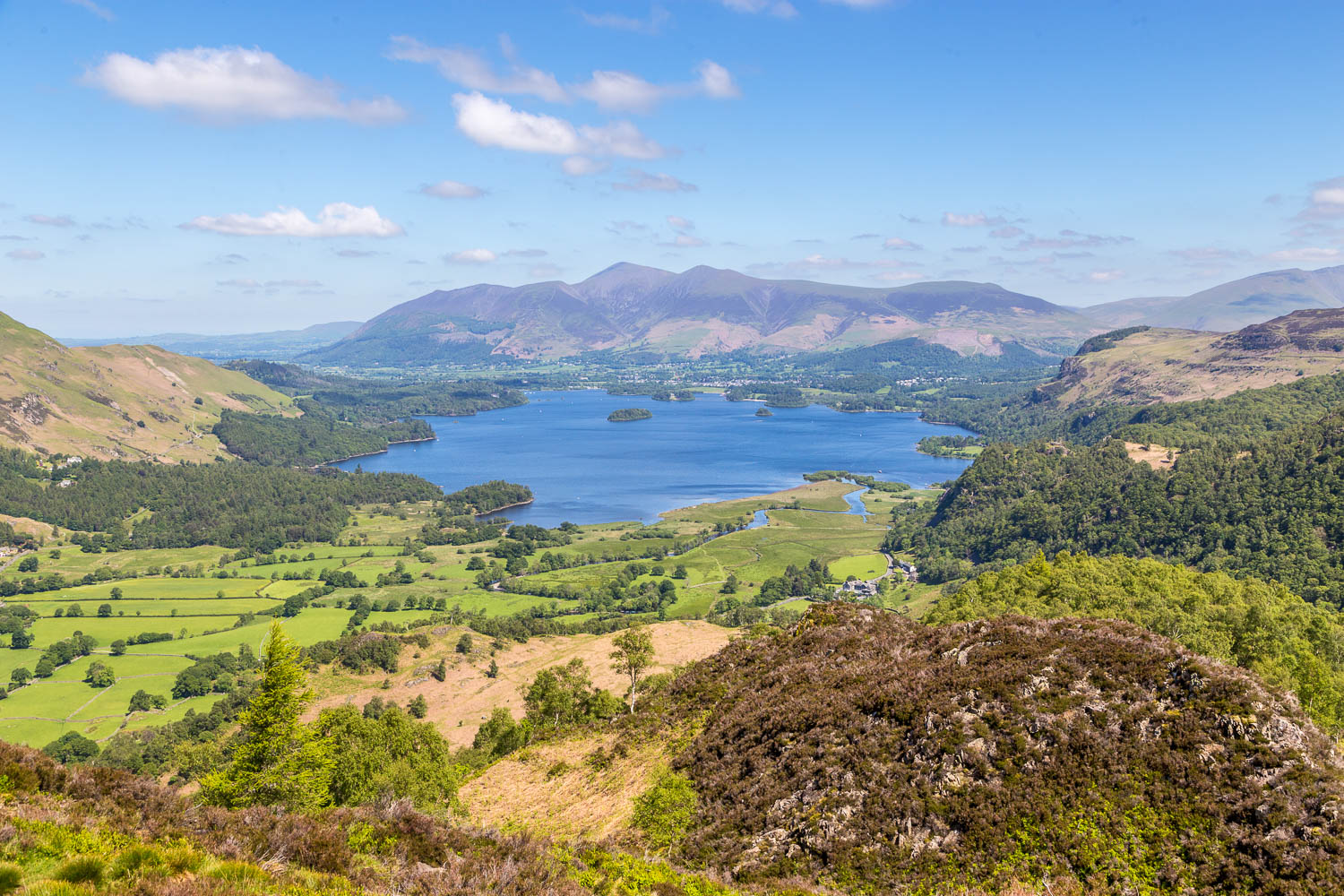 Derwent Water from King's How