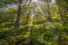 King's How walk