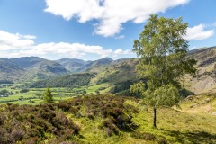 Borrowdale