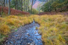 Cummacatta Wood, Borrowdale