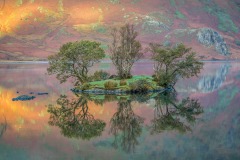 Crummock Water, Woodhouse Islands