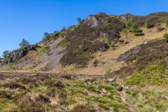 Long Moss, Kings How
