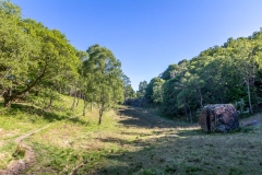 Kings How walk, Cummacatta Wood