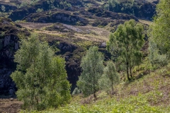 Grange Fell
