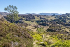 Grange Fell