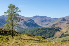 Borrowdale