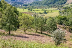 Borrowdale 
