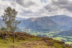 King's How walk, Borrowdale
