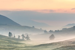 Dawn, Newlands Valley