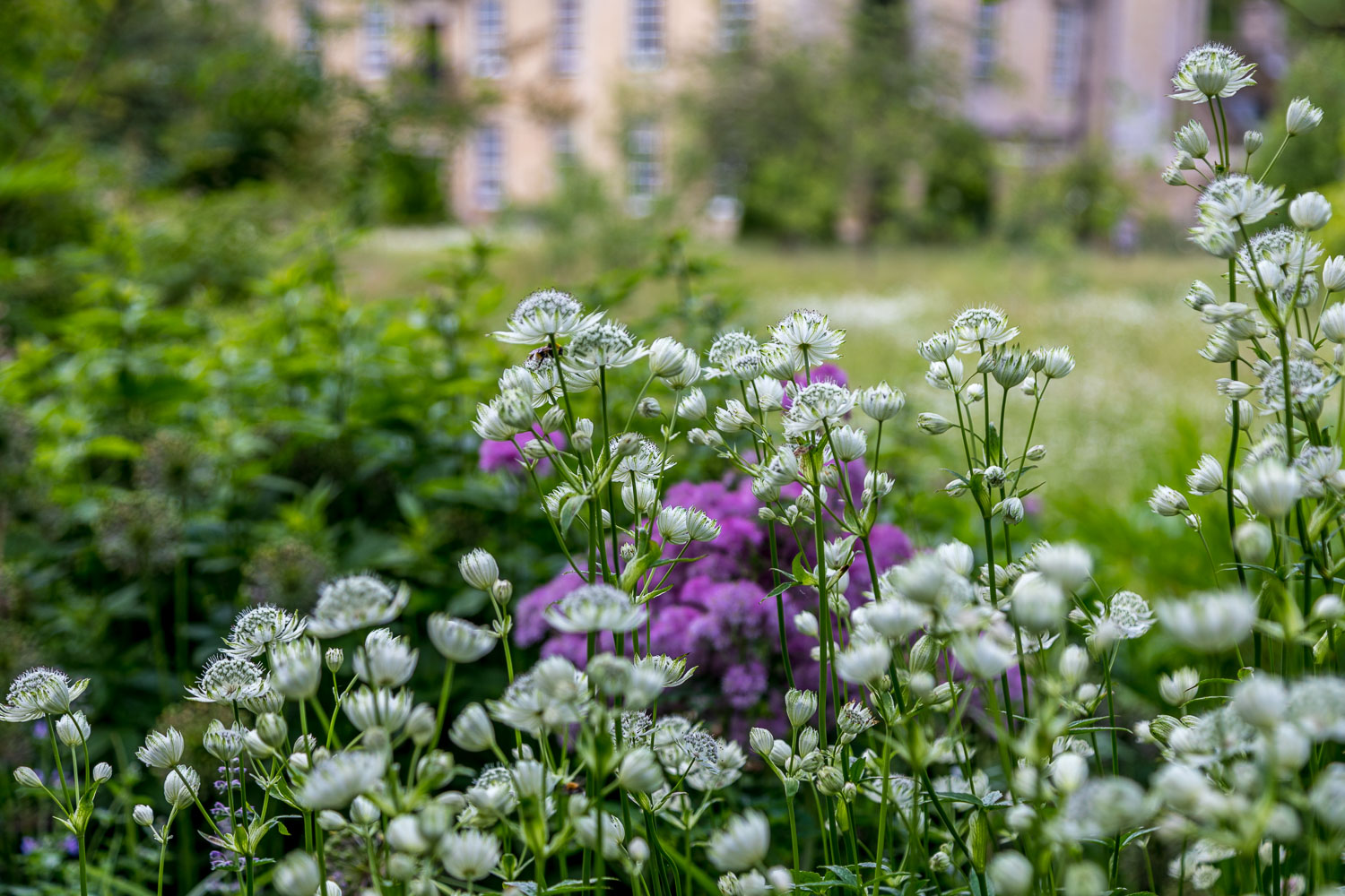Nunnington Hall garden