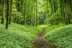 Kirk Dale walk, North Yorkshire walk